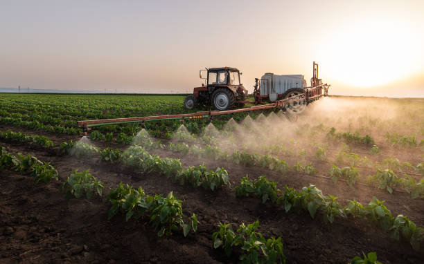 Best Mosquito Control Services  in Lakeville, MN