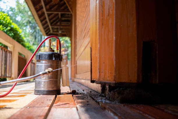 Best Best Pest Control Companies  in Lakeville, MN