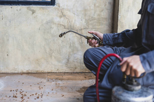 Best Pest Control Near Me  in Lakeville, MN
